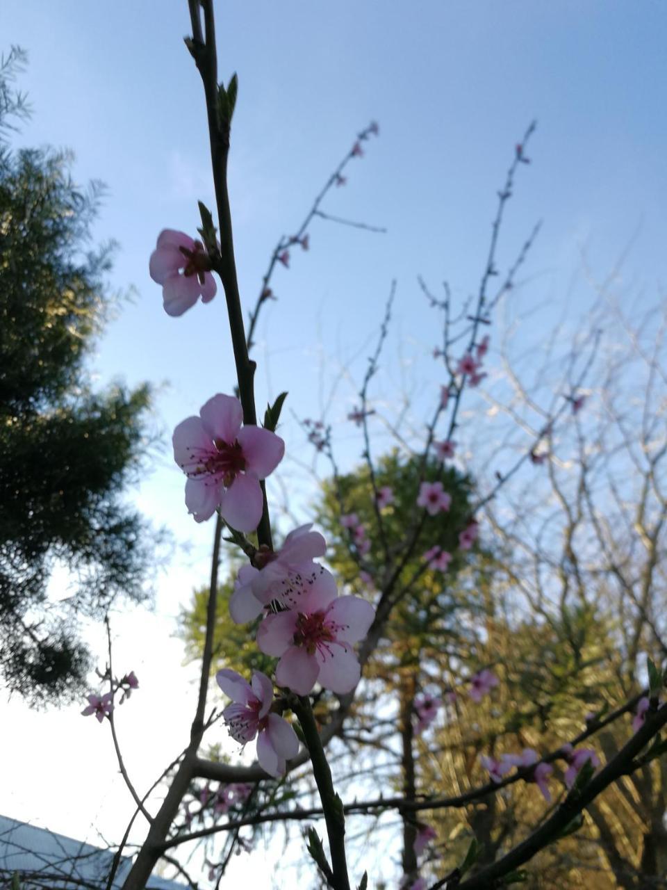 Camping & Hospedaje Rio Laja El Manzano  外观 照片